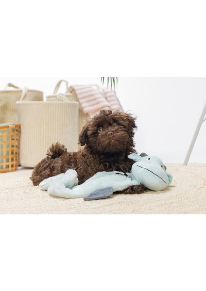 Beeztees Yavru Köpek Oyuncağı, Dragon, Peluş, Gri, 70X16X10CM modelleri