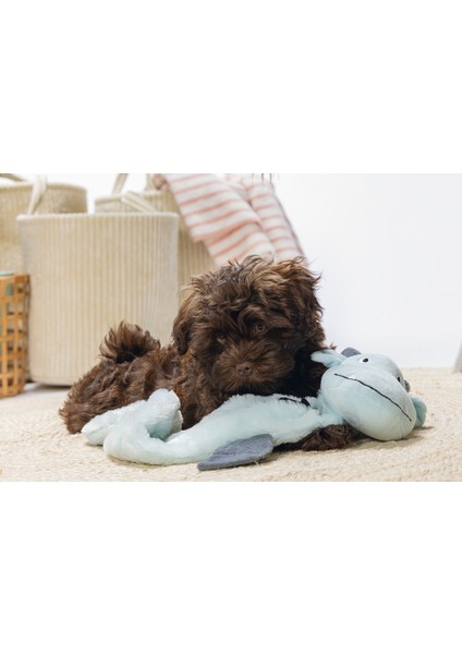 Beeztees Yavru Köpek Oyuncağı, Dragon, Peluş, Gri, 70X16X10CM indirimleri