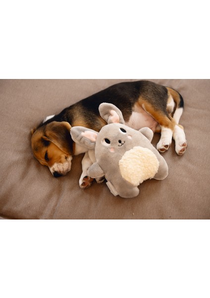 Beeztees Yavru Köpek Oyuncağı, Kalp Atışlı, Tavşan, Peluş, Gri, 25X20X7,5CM fiyatları