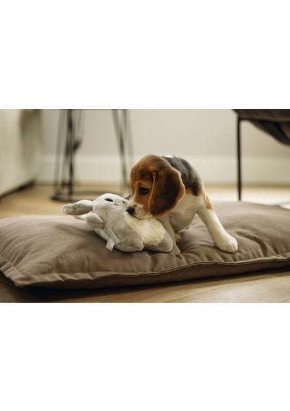 Beeztees Yavru Köpek Oyuncağı, Kalp Atışlı, Tavşan, Peluş, Gri, 25X20X7,5CM fırsatları