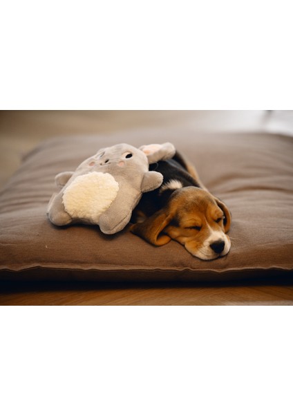 Beeztees Yavru Köpek Oyuncağı, Kalp Atışlı, Tavşan, Peluş, Gri, 25X20X7,5CM indirimleri