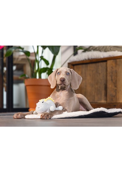 Beeztees Yavru Köpek Oyuncağı, Dinazor, Peluş, Yeşil, 19X14,5X9CM fiyatları