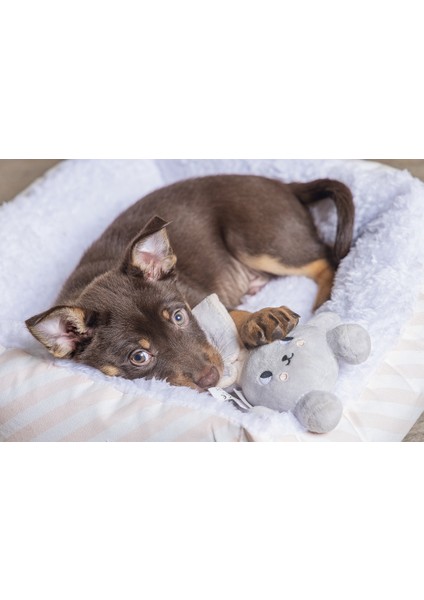 Beeztees Yavru Köpek Oyuncağı, Tavşan, Peluş, Gri, 15X9X4CM modelleri