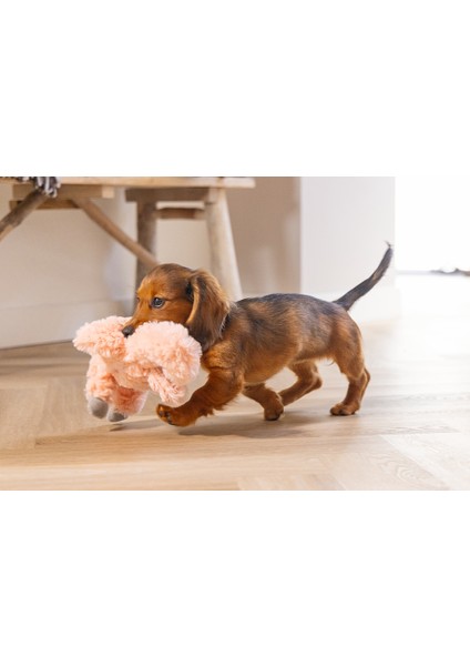 Beeztees Yavru Köpek Oyuncağı, Kalp Atışlı, Flamingo, Peluş, Pembe, 30X21X5CM fırsatları