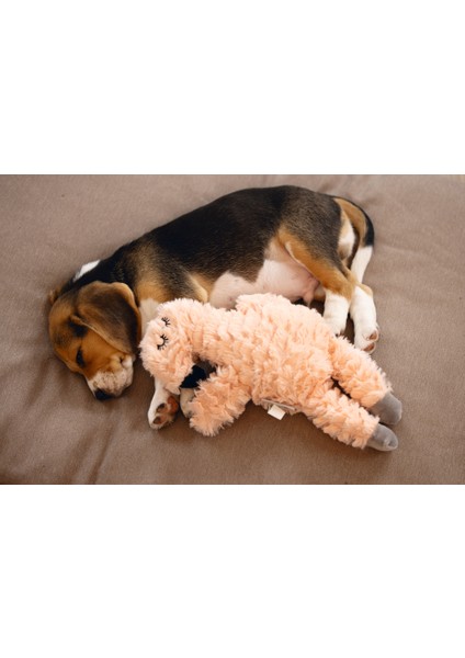 Beeztees Yavru Köpek Oyuncağı, Kalp Atışlı, Flamingo, Peluş, Pembe, 30X21X5CM indirimleri