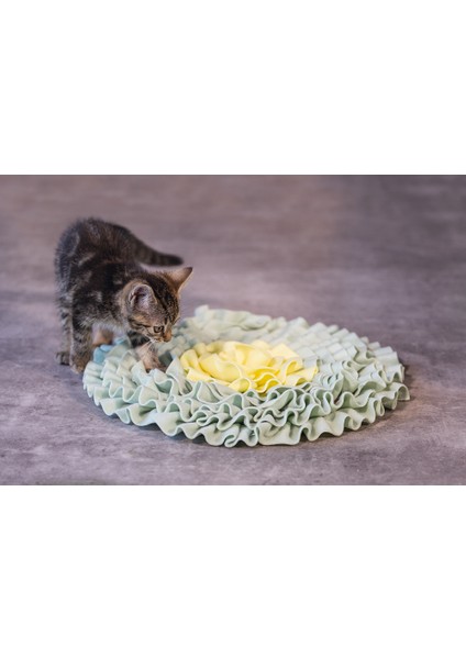 Beeztees Yavru Kedi Oyuncağı, Ödül Saklama, 38X38X3CM fiyatları