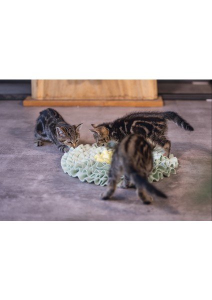 Beeztees Yavru Kedi Oyuncağı, Ödül Saklama, 38X38X3CM modelleri