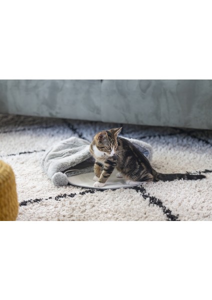 Beeztees Yavru Kedi Oyun Yatağı, Oyuncaklı, 50X40X15CM indirimleri