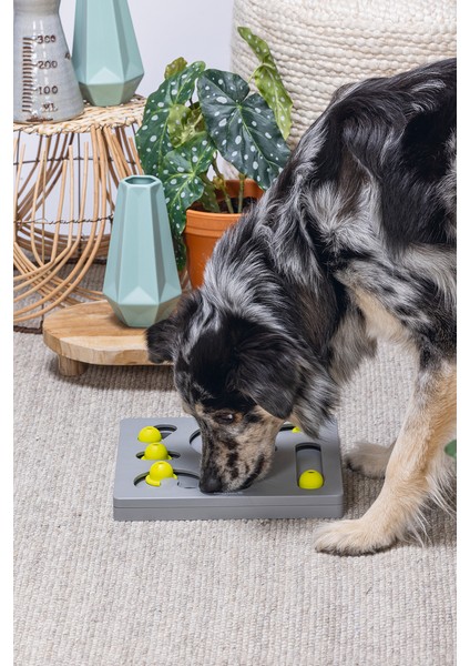 Beeztees Köpek Zeka Geliştirme Oyuncağı, 28X28X4,5CM fiyatları