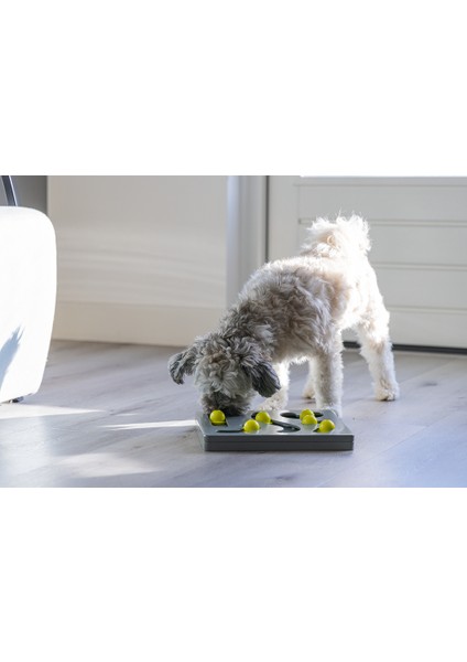 Beeztees Köpek Zeka Geliştirme Oyuncağı, 28X28X4,5CM modelleri