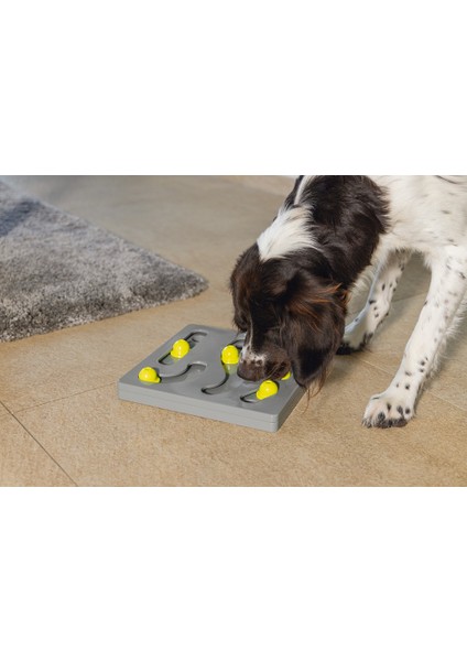 Beeztees Köpek Zeka Geliştirme Oyuncağı, 28X28X4,5CM indirimleri