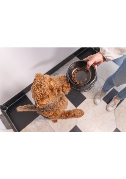 Beeztees Dbl Köpek Mama Su Kabı, Mat Siyah Paslanmaz Çelik, Siyah Mermer Görünümlü, 17,5cm, 350ML modelleri