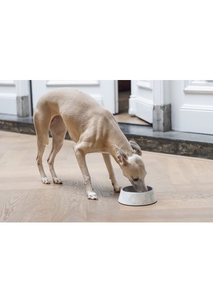 Beeztees Dbl Köpek Mama Su Kabı, Mat Paslanmaz Çelik, Beyaz Mermer Görünümlü, 17,5cm, 350ML fiyatları
