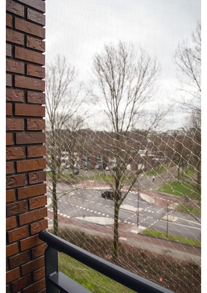 Beeztees Kedi Pencere Veya Balkon Koruma Filesi, Şeffaf, 6X3M