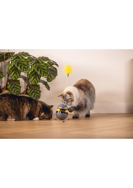 Beeztees Kedi Oyuncağı, Hacıyatmaz, Içinde Top, Ucunda Tüy, 10X10X42CM fiyatları