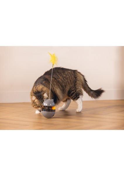 Beeztees Kedi Oyuncağı, Hacıyatmaz, Içinde Top, Ucunda Tüy, 10X10X42CM fırsatları
