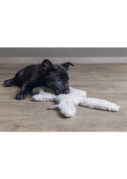 Beeztees Yavru Köpek Oyuncağı, Peluş, Beyaz, 40X22X5CM fiyatları
