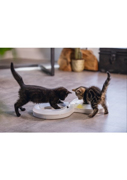 Beeztees Yavru Kedi Oyuncağı, 50X24X5,5CM modelleri