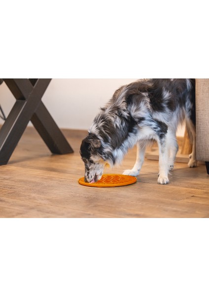 Beeztees Yavru Köpek Mama Yeme Oyuncağı, Daire Şeklinde, Silikon, Turuncu, 30CM fiyatları