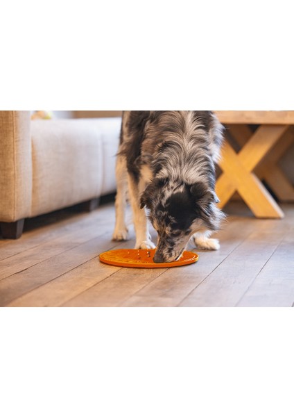 Beeztees Yavru Köpek Mama Yeme Oyuncağı, Daire Şeklinde, Silikon, Turuncu, 30CM modelleri
