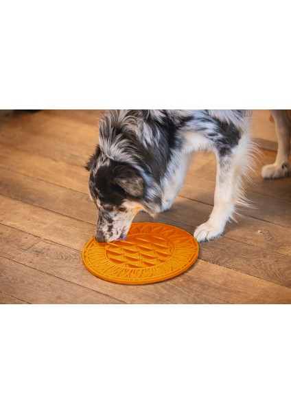 Beeztees Yavru Köpek Mama Yeme Oyuncağı, Daire Şeklinde, Silikon, Turuncu, 30CM indirimleri