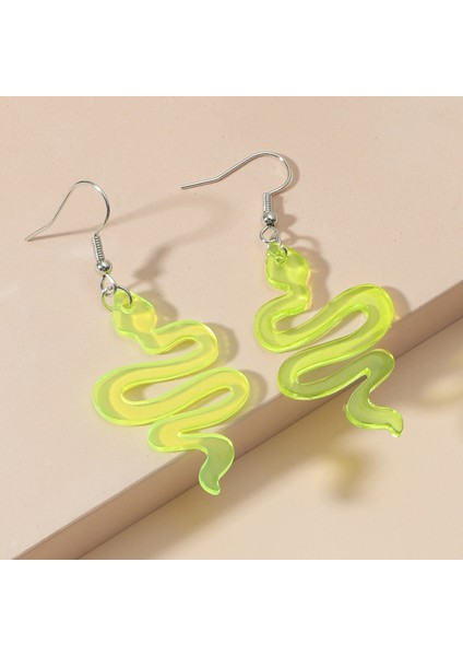 Takılar Küpeler Kadın Atılı Küpeler (Yurt Dışından)