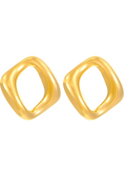 Avrupa ve Amerika Birleşik Devletleri Modası Vahşi Kişilik Paslanmaz Çelik Küpeler Kadın Geometrik Küpeler Saplama Küpeler (Yurt Dışından)