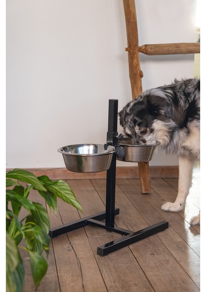 Beeztees Köpek Ikili Mama Su Kabı, Ayaklı, Paslamaz Çelik, 25CM, 2x2,5l fırsatları