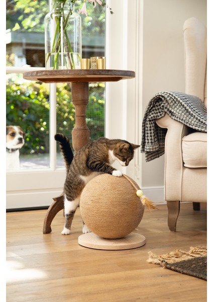 Beeztees Dbl Kedi Tırmalama ve Oyuncağı, 30X31X31,5CM fiyatları