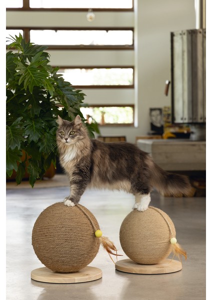 Beeztees Dbl Kedi Tırmalama ve Oyuncağı, 30X31X31,5CM fırsatları
