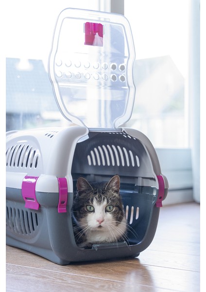 Beeztees Köpek Veya Kedi Taşıma Kabı, Gri/pembe, 51X34,5X33CM fiyatları
