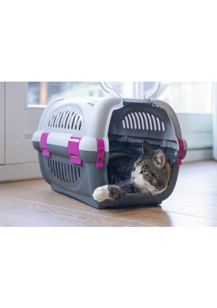 Beeztees Köpek Veya Kedi Taşıma Kabı, Gri/pembe, 51X34,5X33CM modelleri