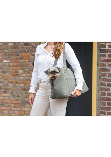 Beeztees Dbl Köpek Taşıma Çantası, Yıkanabilir, 6,5kg'ye Kadar, Yeşil, 40X20X28CM fiyatları