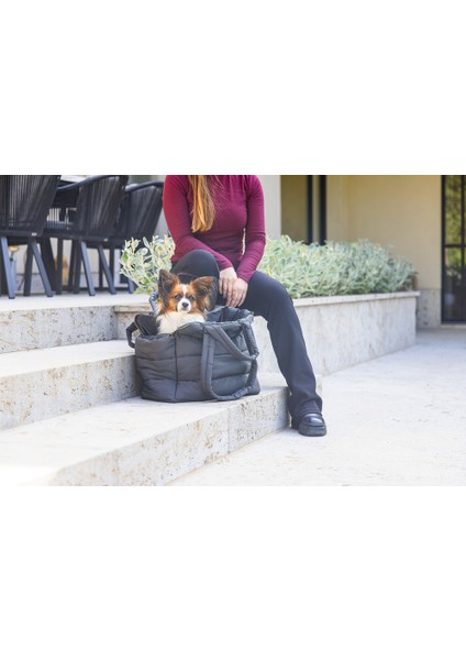 Beeztees Dbl Köpek Taşıma Çantası, Yıkanabilir, 6,5kg'ye Kadar, Antrasit, 42X20X35CM fiyatları