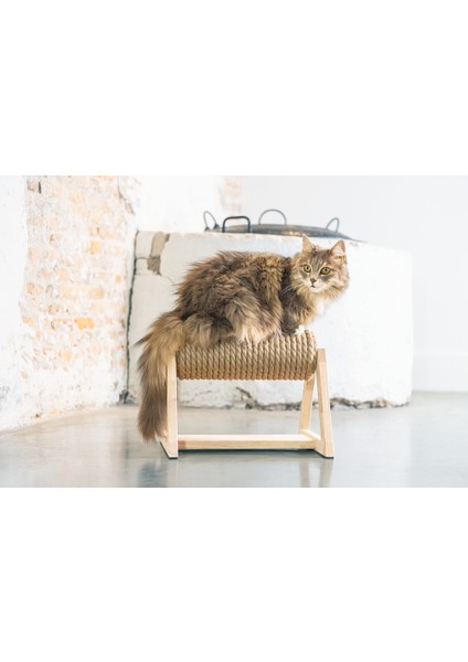 Beeztees Dbl Kedi Tırmalama, 36X29,5X28CM fırsatları