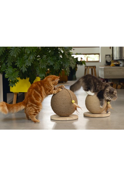 Beeztees Dbl Kedi Tırmalama ve Oyuncağı, 30X30X27CM fiyatları