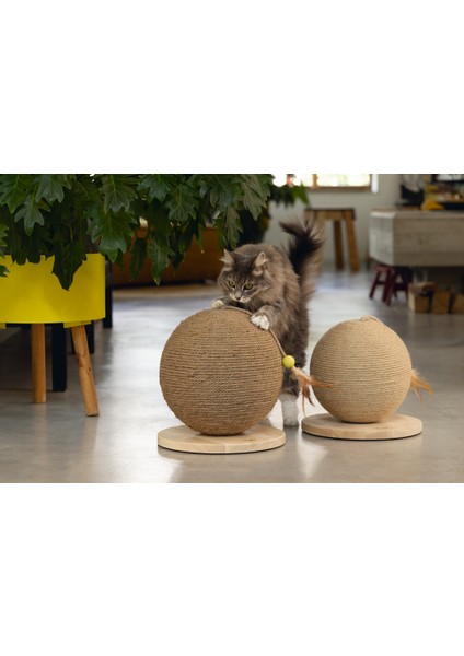 Beeztees Dbl Kedi Tırmalama ve Oyuncağı, 30X30X27CM fırsatları