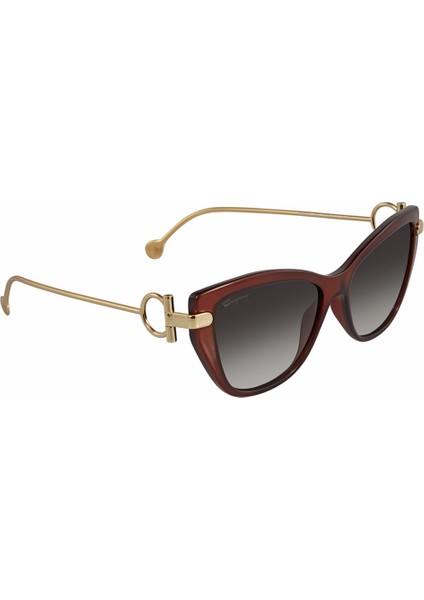 güneş gözlüğü sf928s 210 55-15 / kadın güneş gözlüğü fiyatları