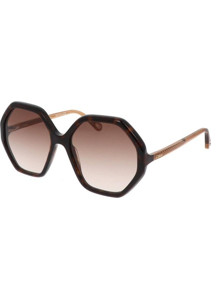 CH0008S 004 Kahverengi Geometrik Kadın Güneş Gözlüğü 58-17