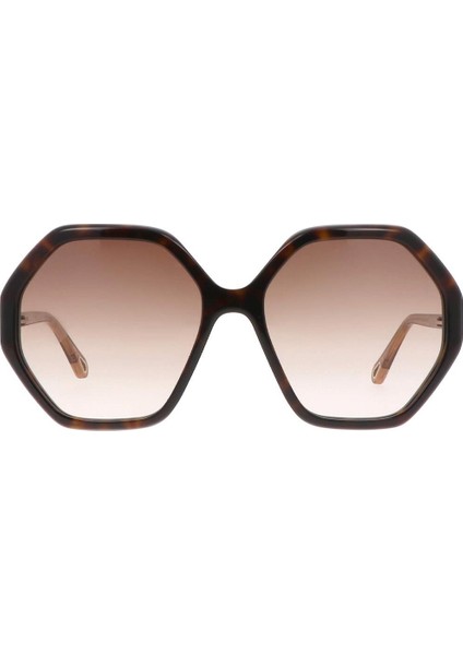 CH0008S 004 Kahverengi Geometrik Kadın Güneş Gözlüğü 58-17 fiyatları