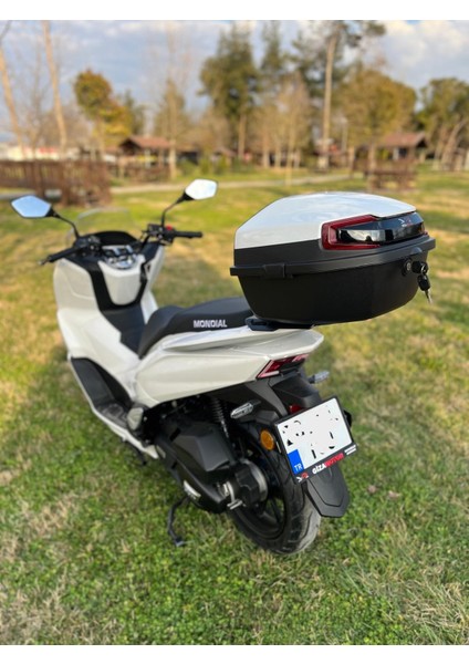 Motosiklet Çantası 33 Litre Metalik Boya