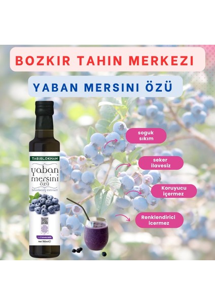 Bozkır Tahin Merkezi Yaban Mersini Özü 700GR (Katkısız& Soğuk Pres)
