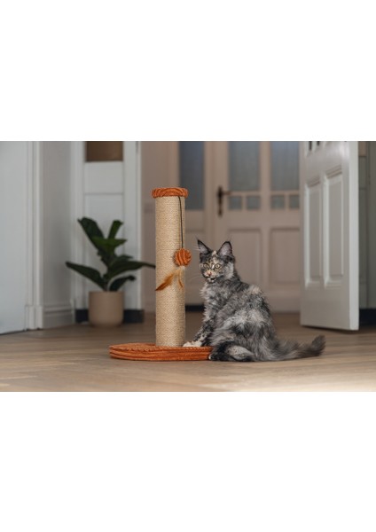 Beeztees Dbl Kedi Tırmalama ve Oyuncağı, Toprak Rengi, 35X35X50CM fiyatları