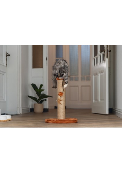 Beeztees Dbl Kedi Tırmalama ve Oyuncağı, Toprak Rengi, 35X35X50CM modelleri
