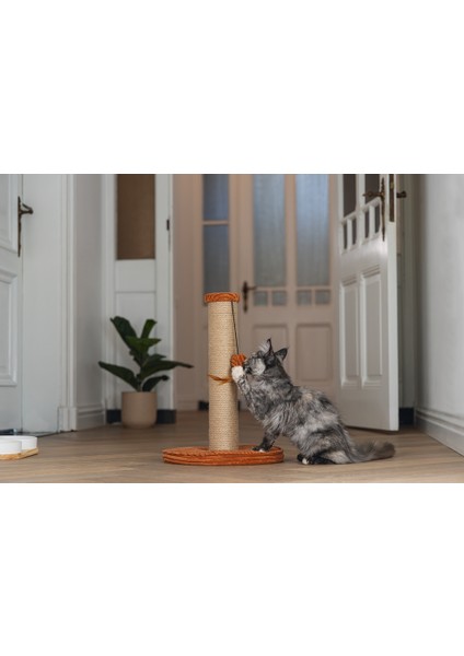 Beeztees Dbl Kedi Tırmalama ve Oyuncağı, Toprak Rengi, 35X35X50CM fırsatları