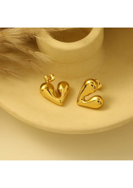 Mücevher Niche Kadın Küpeleri Tokalar Küpeler Aksesuarlar (Yurt Dışından)