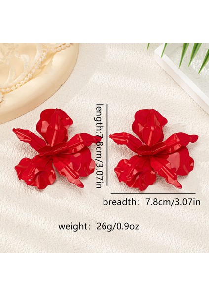 Yeni Retro Moda Küpeler Kadın Niş Kıdemli Basitlik Duygusu Mizaç Kulak (Yurt Dışından)