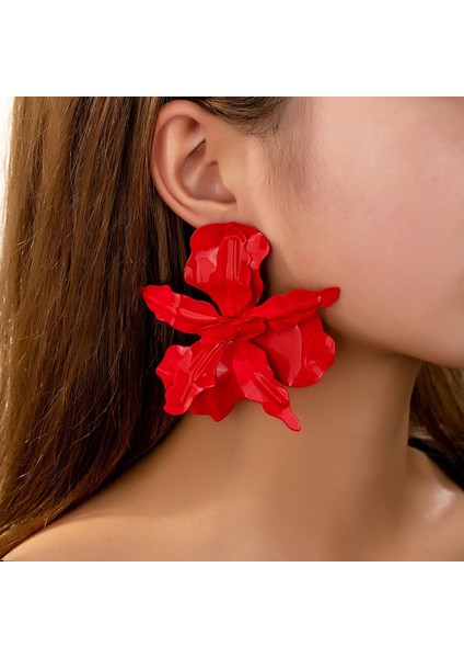 Yeni Retro Moda Küpeler Kadın Niş Kıdemli Basitlik Duygusu Mizaç Kulak (Yurt Dışından) fiyatları