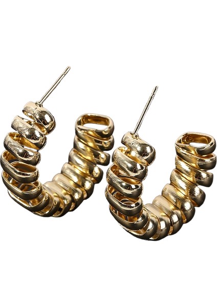 Küpe Mizaç Küpe Niş Tasarım Gümüş Iğne Küpe (Yurt Dışından)