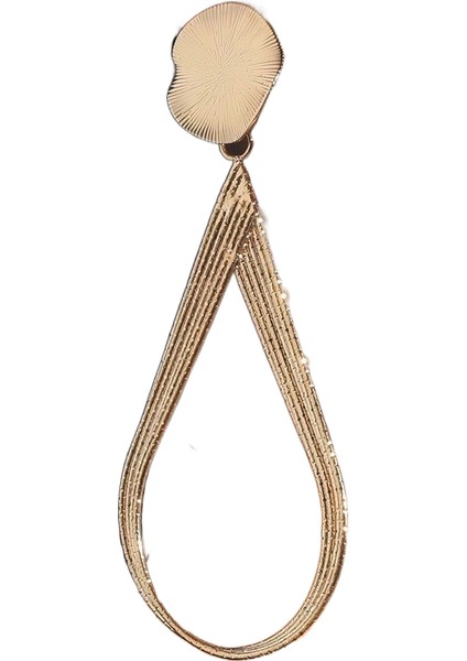 Basit Saplama Küpeler Çok Yönlü Popüler Kişilik Sokak Çekim Küpeleri (Yurt Dışından)